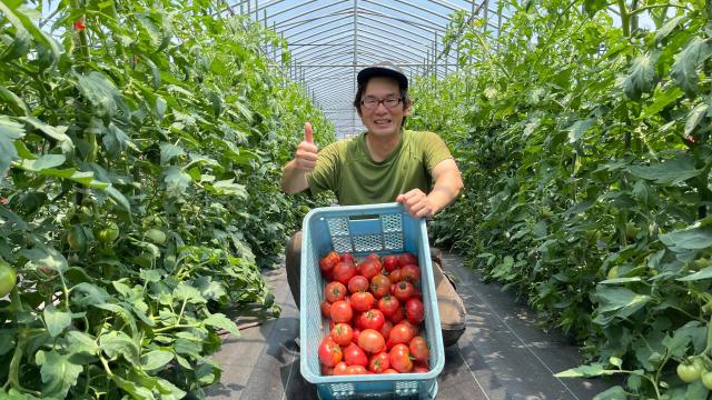 Đơn hàng nông nghiệptại Kagoshima Nhật Bản