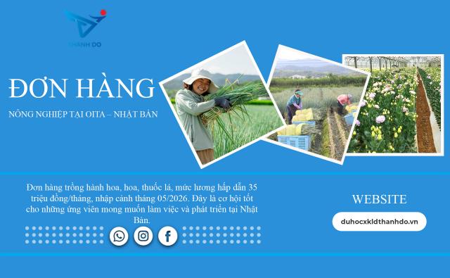 Đơn hàng nông nghiệp Oita