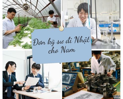 Đơn hàng kỹ sư đi Nhật cho nam