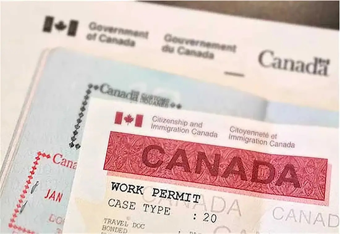 5 loại giấy phép làm việc tại Canada được chấp thuận
