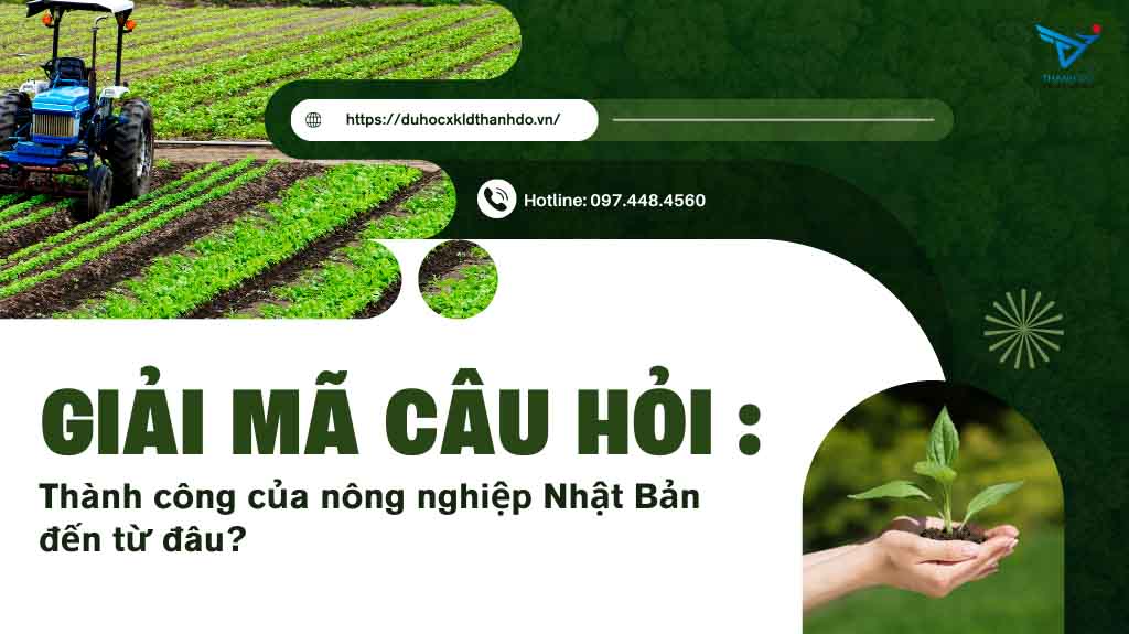 Thành công của nông nghiệp Nhật Bản đến từ đâu