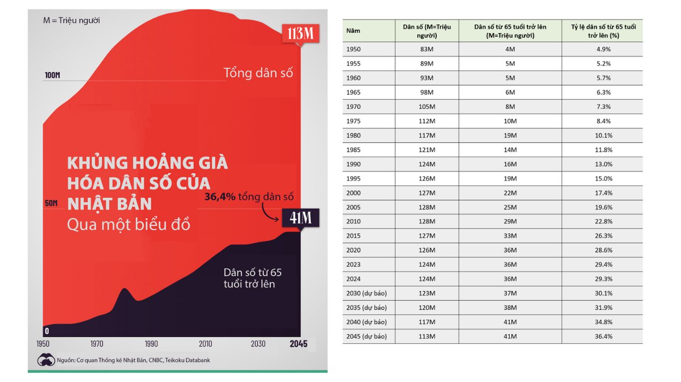 Khủng hoảng già hóa dân số của Nhật Bản qua một biểu đồ