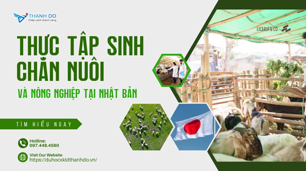 Thực tập sinh chăn nuôi và nông nghiệp