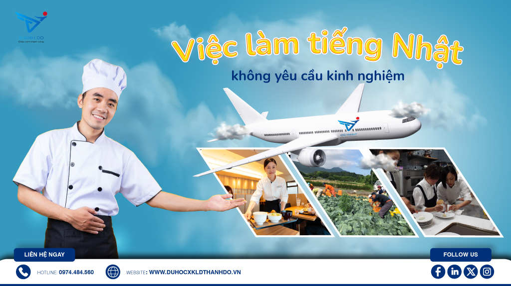 Việc làm tiếng Nhật không yêu cầu kinh nghiệm