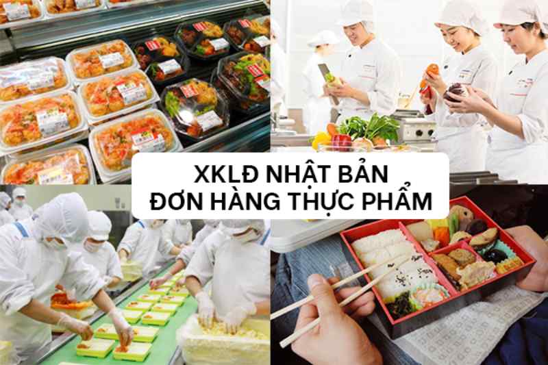 Thông tin chung về đơn hàng thực phẩm XKLĐ Nhật Bản 