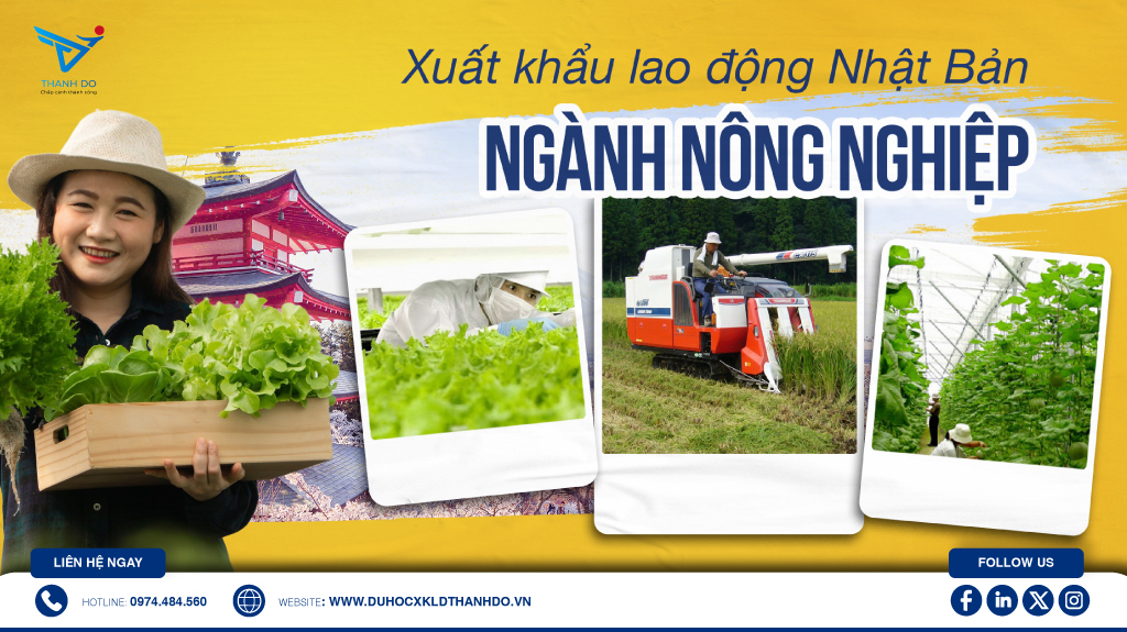 Xuất khẩu lao động Nhật Bản ngành nông nghiệp