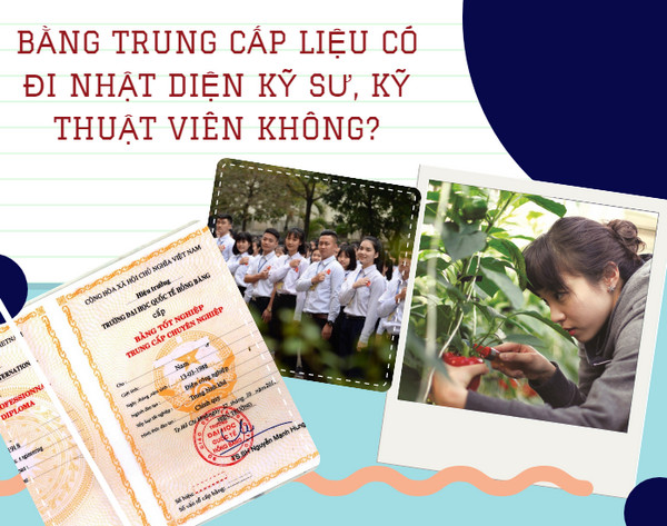 Bằng trung cấp có đi kỹ sư Nhật được không?