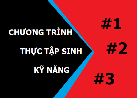 Các chương trình thực tập sinh Nhật Bản