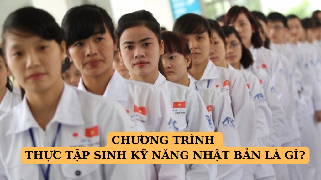 Chương trình thực tập sinh Nhật Bản là gì?