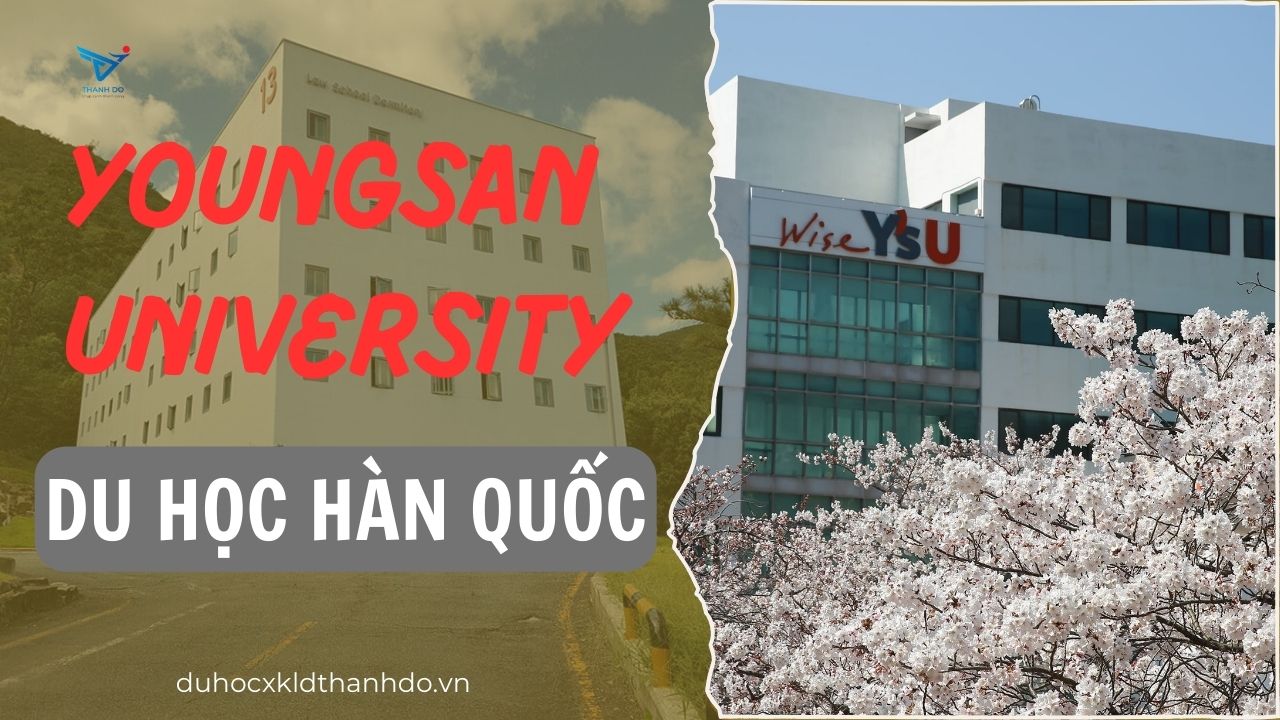 Đại học Youngsan