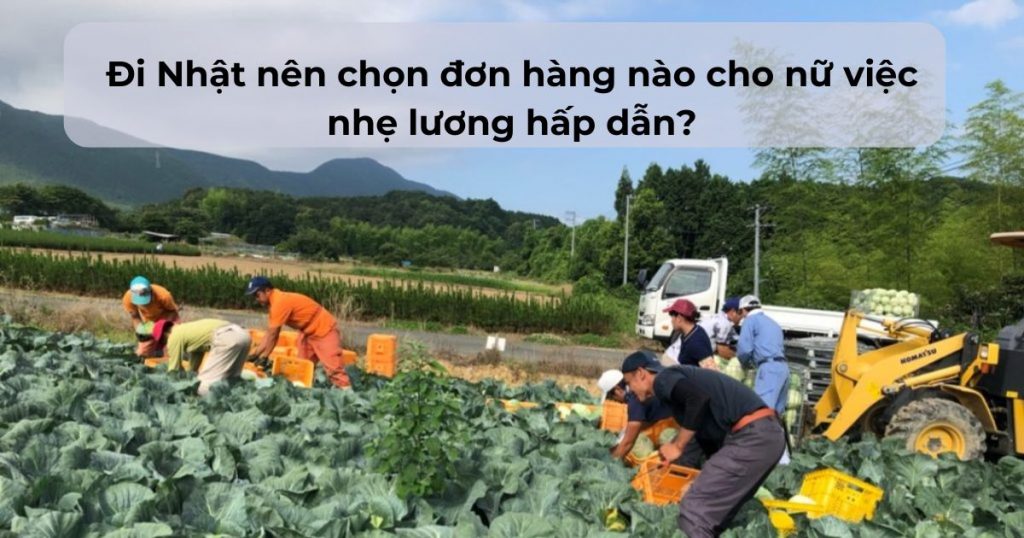 Lựa chọn đơn hàng đi Nhật theo giới tính