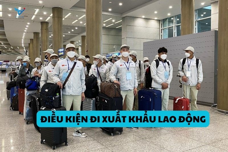 Điều kiện và tiêu chuẩn để tham gia xuất khẩu lao động