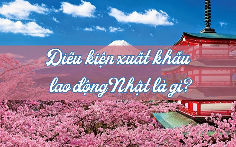 Điều kiện để tham gia chương trình xuất khẩu lao động Nhật Bản