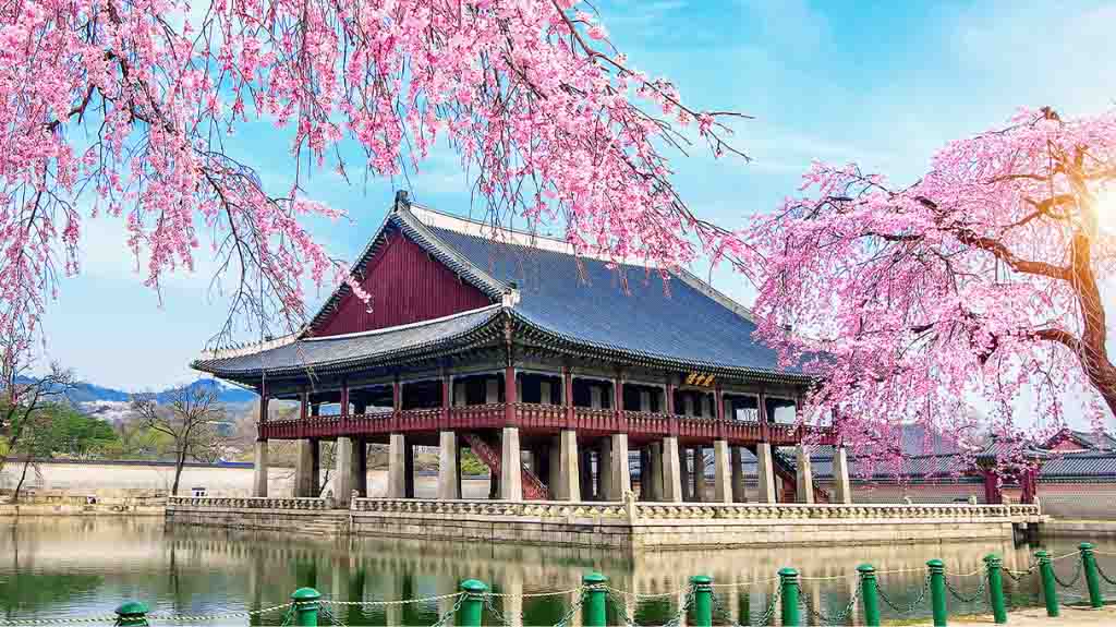 Khó khăn khi du học Hàn Quốc