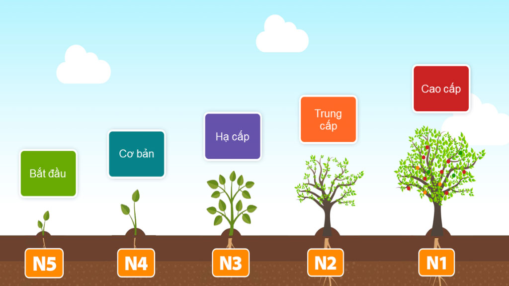 Bước 2: Học tiếng Nhật và thi lấy chứng chỉ JLPT