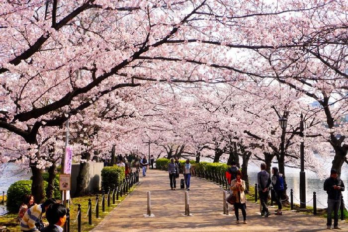 Du lịch Hokkaido