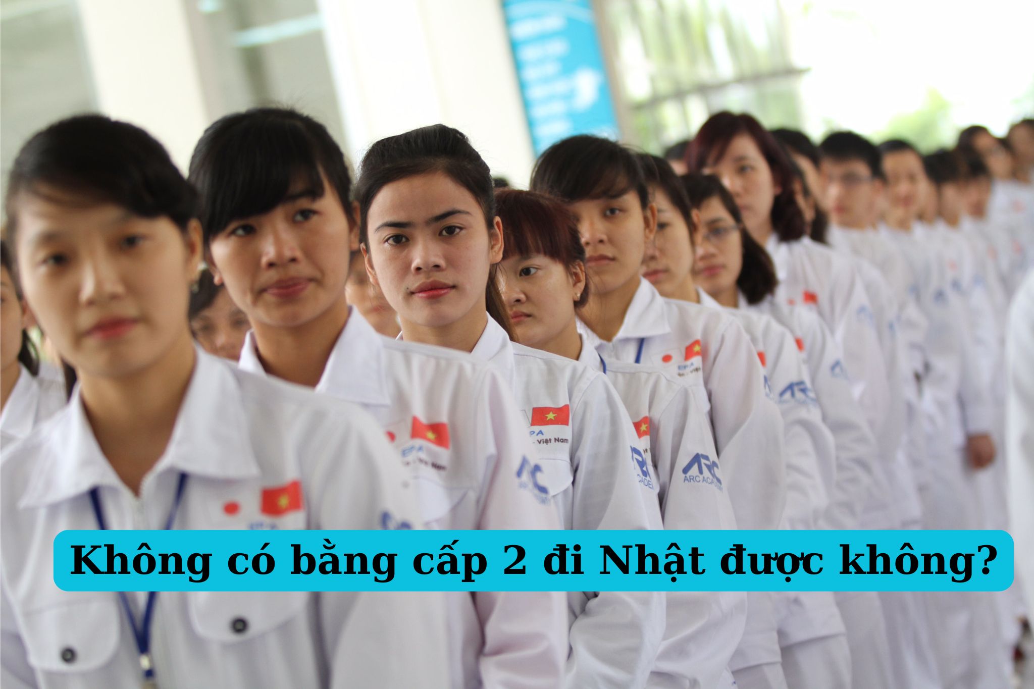 Không có bằng cấp 2 đi Nhật được không?