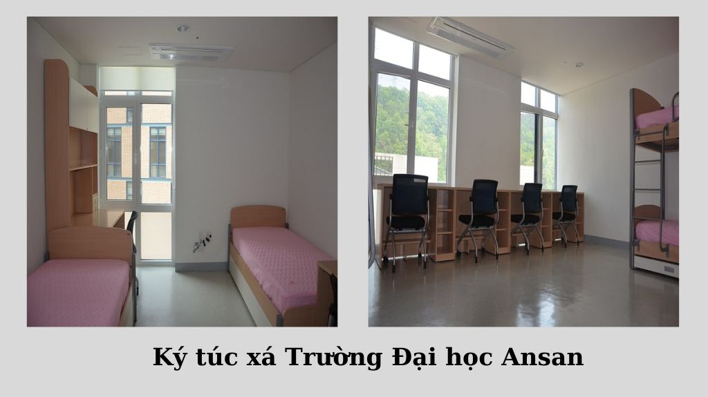 Ký túc xá Trường Đại học Ansan