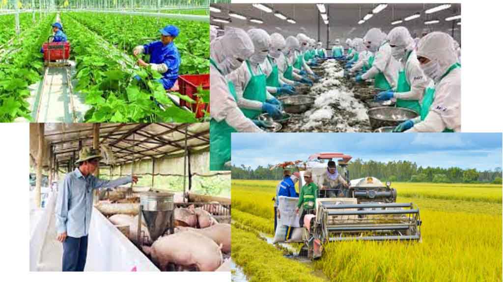Mức lương và công việc của thực tập sinh nông nghiệp Nhật Bản