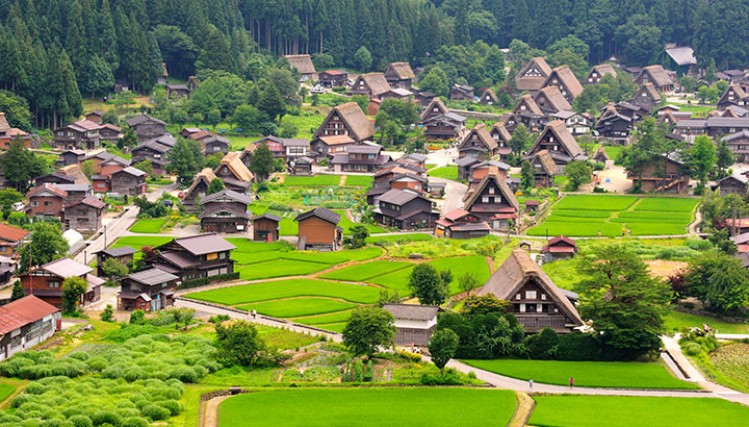 Làng cổ Shirakawa-go (Gifu)