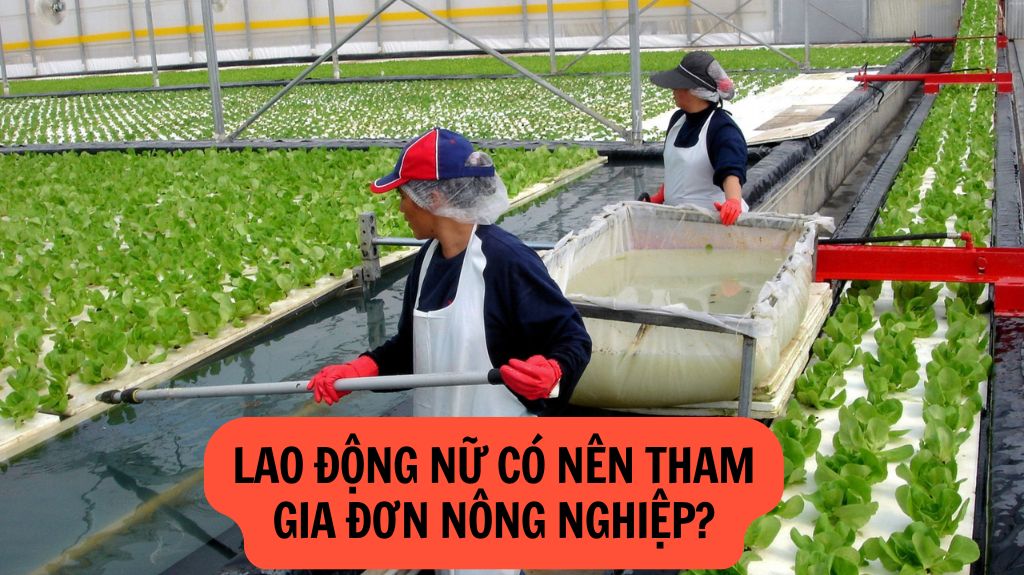 Lao động nữ có nên tham gia đơn hàng nông nghiệp Nhật Bản?