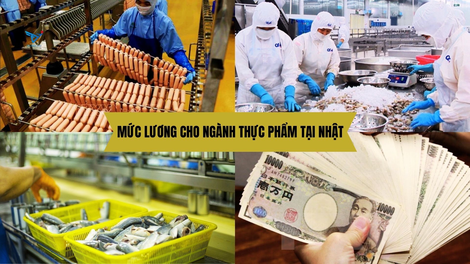 Lương cơ bản đơn hàng thực phẩm Nhật Bản là bao nhiêu?