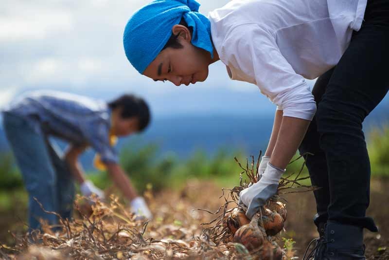 Nhu cầu tuyển dụng lao động nam ngành nông nghiệp tại Nhật Bản