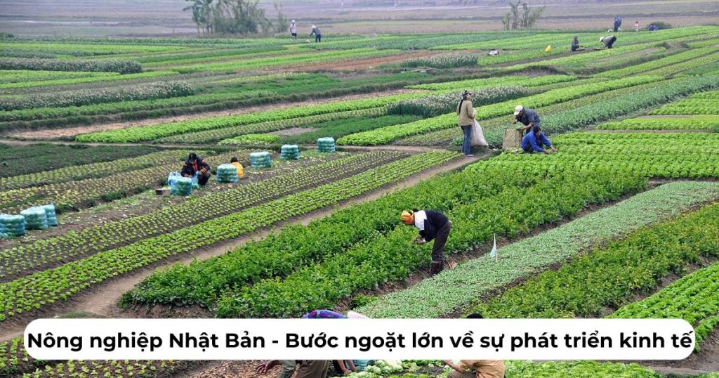 Đặc điểm nổi bật của ngành nông nghiệp Nhật Bản