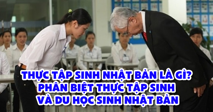 Phân biệt thực tập sinh với các chương trình khác