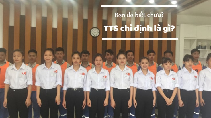 Thực tập sinh chỉ định