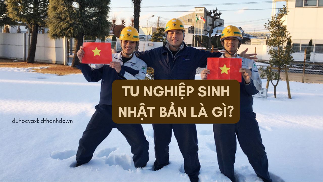 Tu nghiệp sinh Nhật Bản là gì?