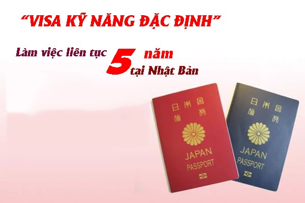 Cơ hội phát triển nghề nghiệp và ổn định lâu dài