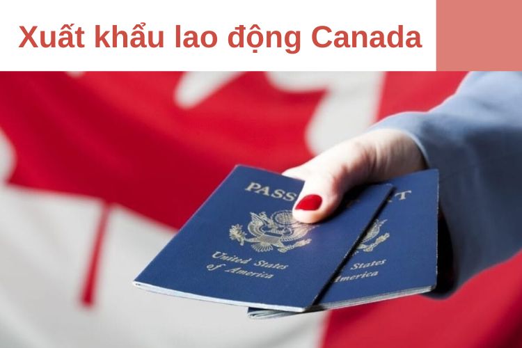 Thị trường Canada