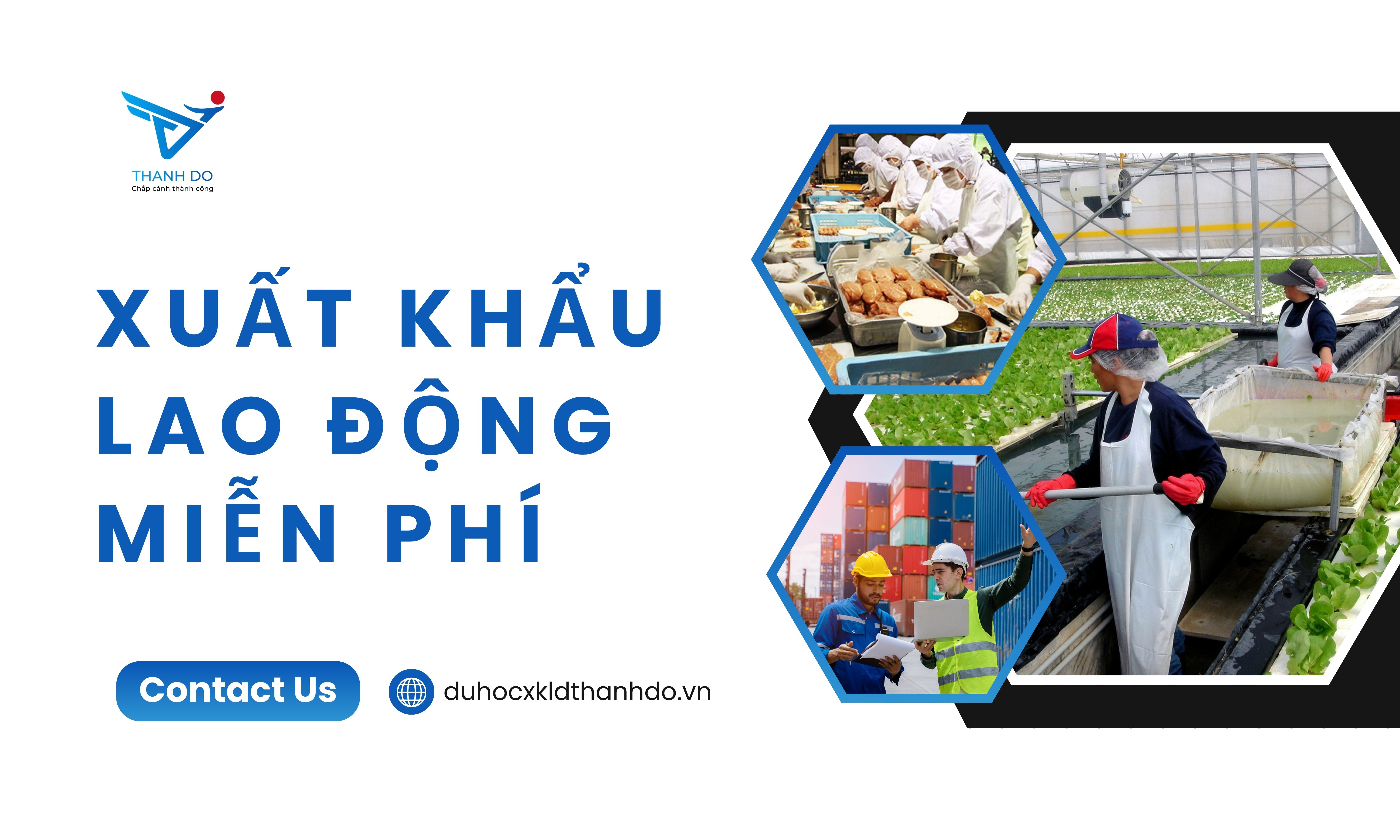 Xuất khẩu lao động miễn phí là gì?