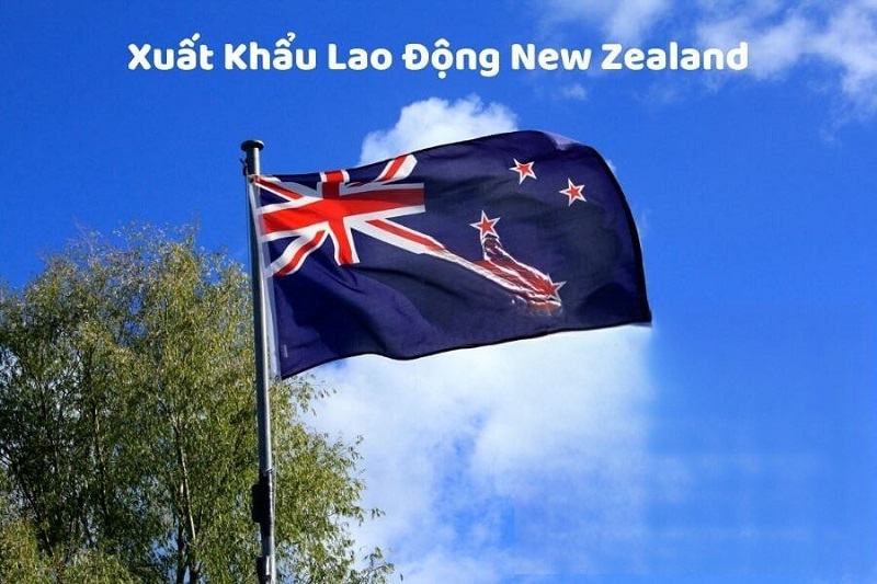 Xuất khẩu lao động New Zealand