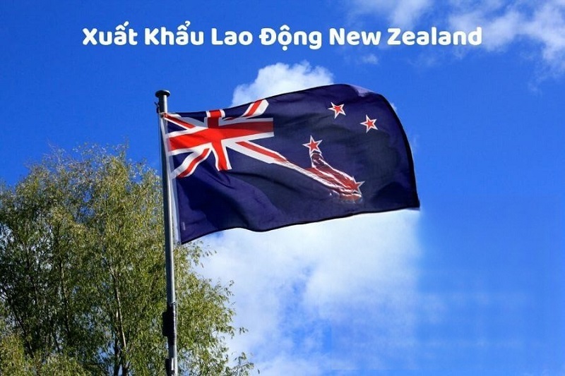 Thị trường xuất khẩu lao động New Zealand