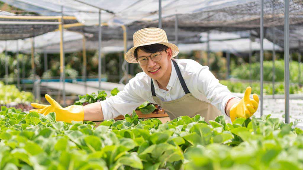 Lao động Việt Nam học hỏi gì từ nông nghiệp Nhật Bản?