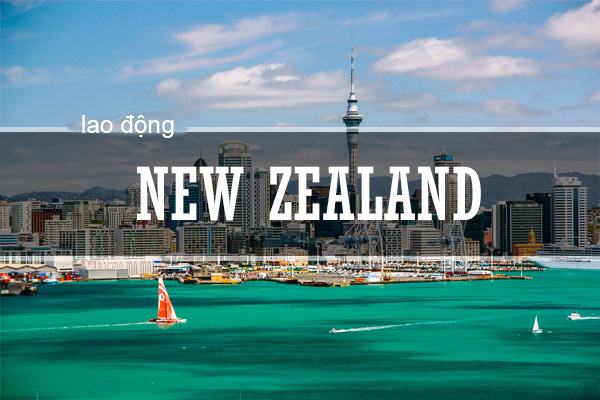 Ưu điểm khi đi xuất khẩu lao động New Zealand