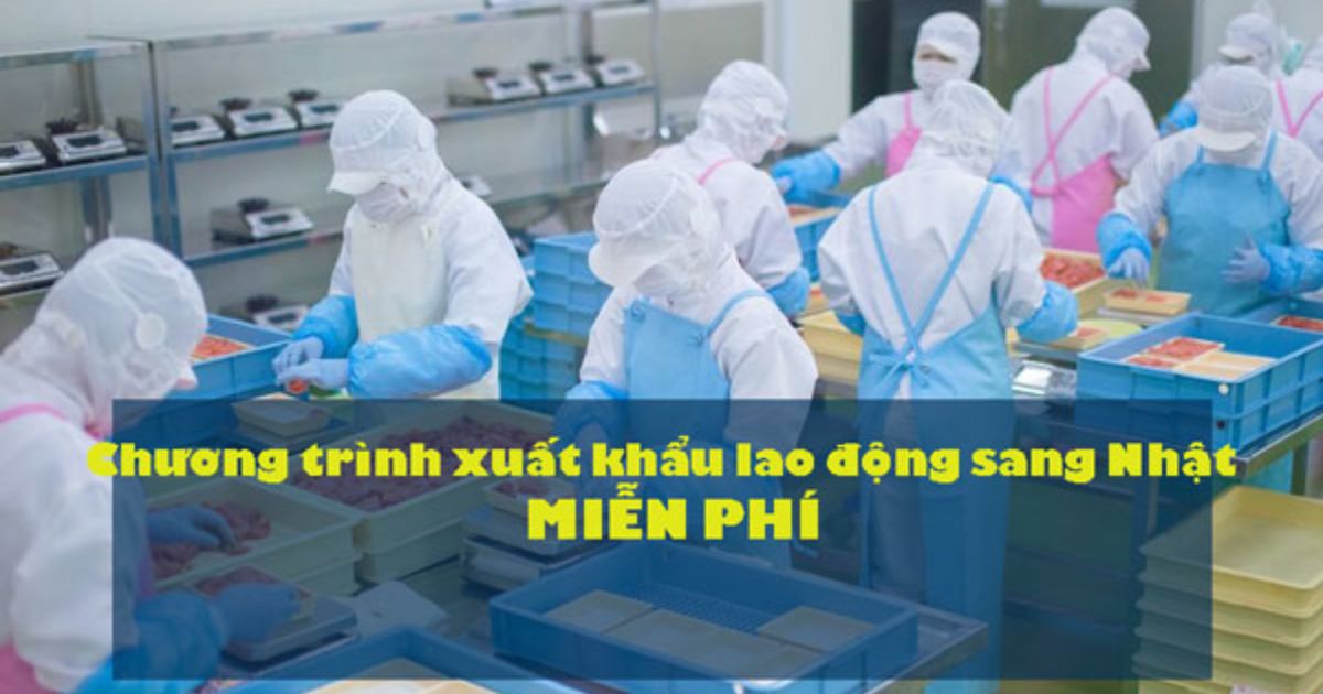 Chương trình hợp tác giữa các trường đại học, cao đẳng Việt Nam và doanh nghiệp Nhật Bản